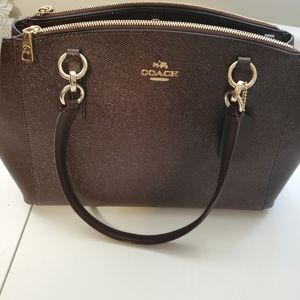 Coach Purse:  Oxblood with Metallic